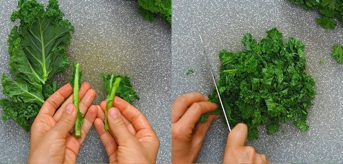 cutting the kale leaves