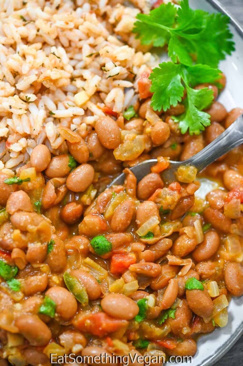 Quick & Easy Chipotle Pinto Beans - Eat Something Vegan