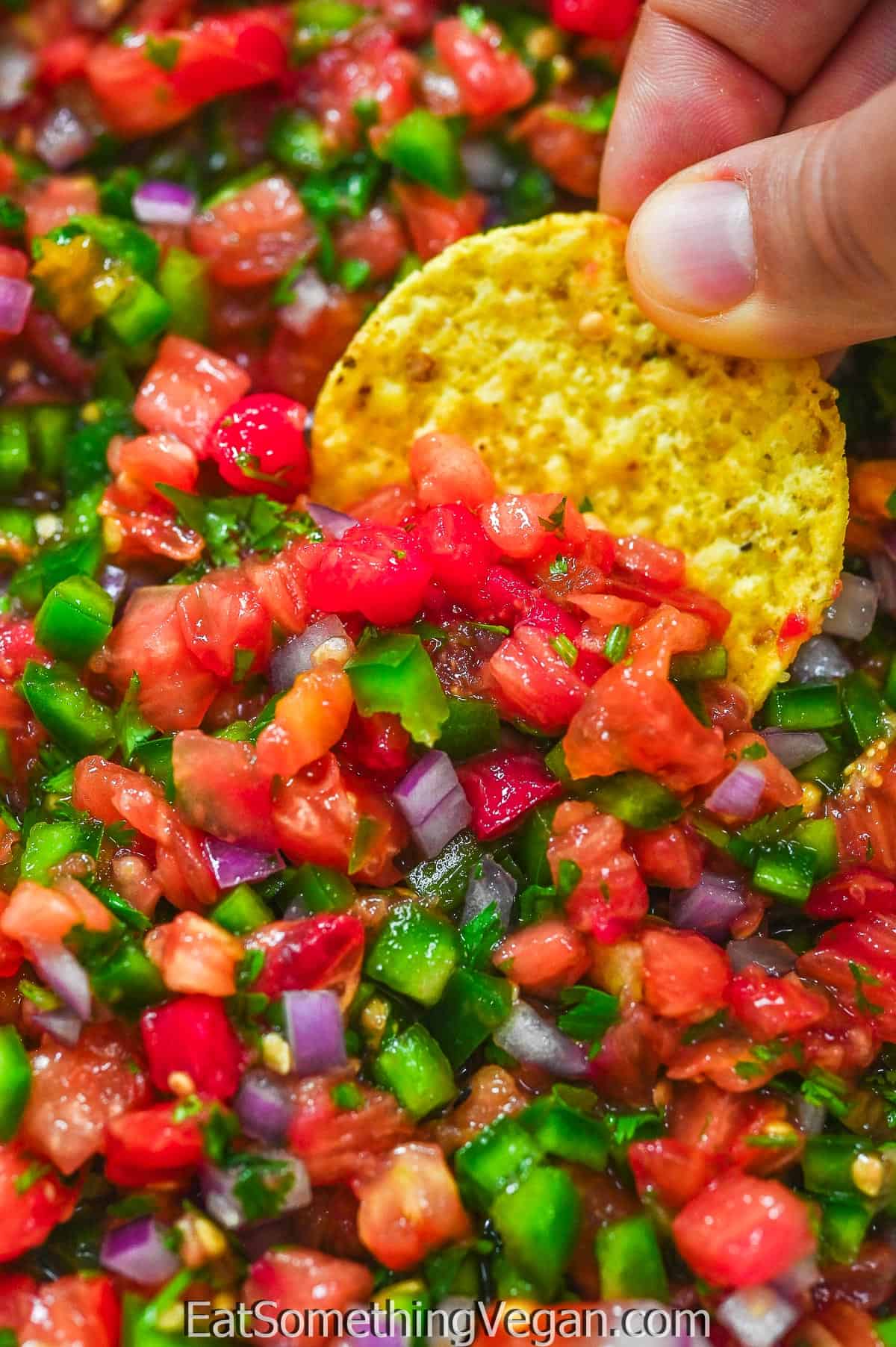 Chipotle Pico De Gallo (Copycat Recipe) - Eat Something Vegan