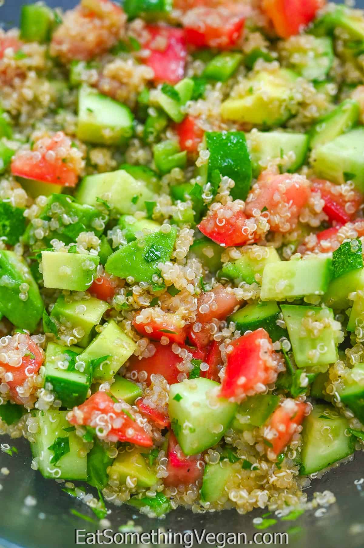 Quinoa Veggie Salad - Eat Something Vegan