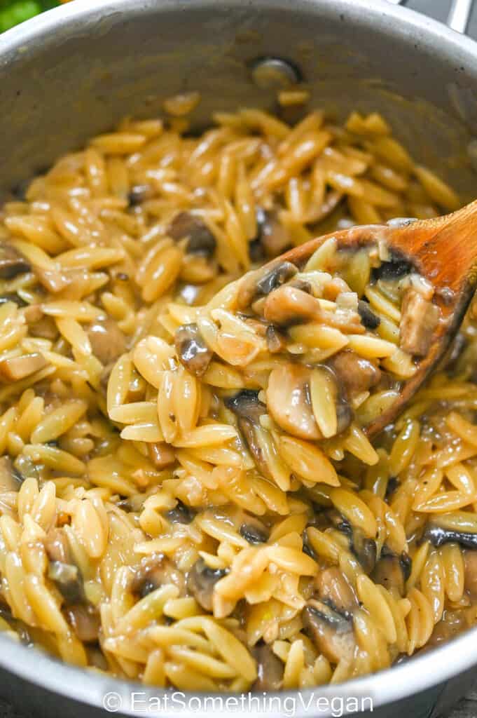 Mushroom Orzo in a pot