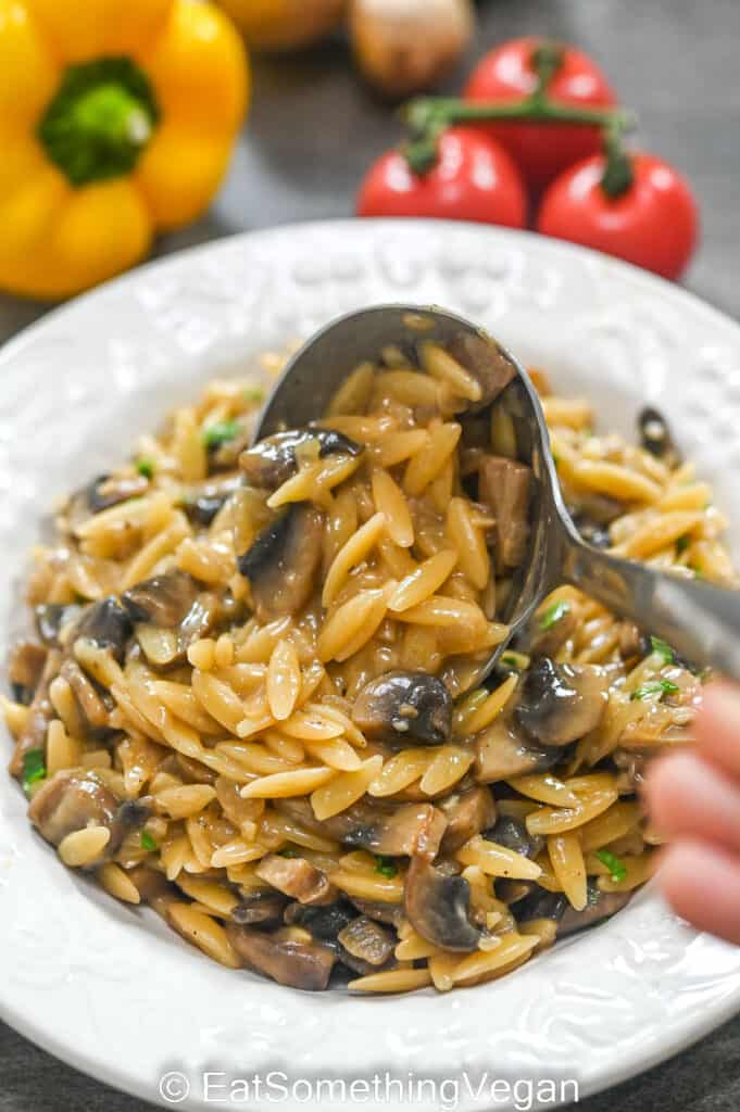 serving Mushroom Orzo with a laddle