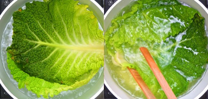 Blanching Savoy cabbage leaves in boiling water