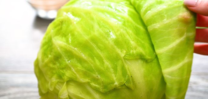 Peeling cabbage leaves off the head